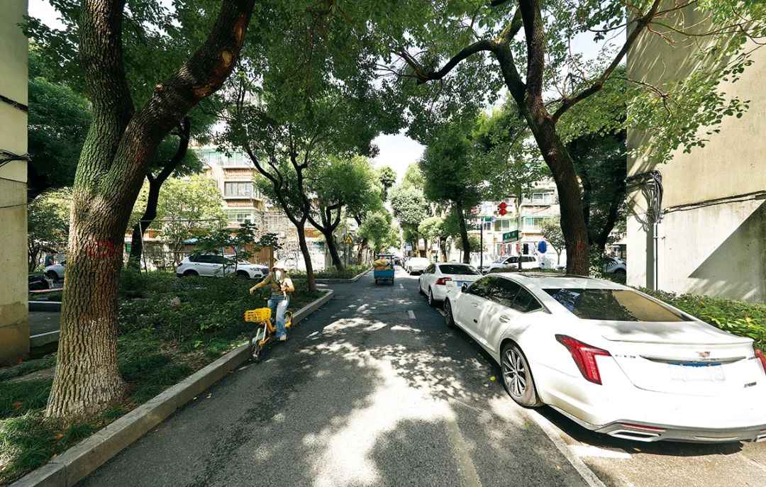“自拆自建”老房更新的可行性试验(图4)