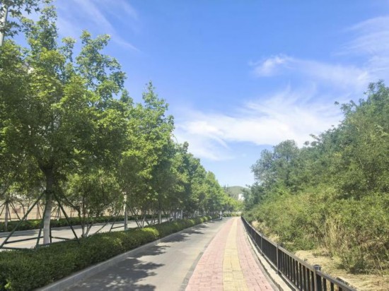 山东已改造老旧小区15万个 让老城逆生长(图3)