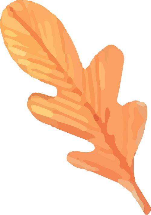 新房还能看到“上海三件套”！谈家桥小区旧住房成套改造项目居民喜迎回搬！(图2)