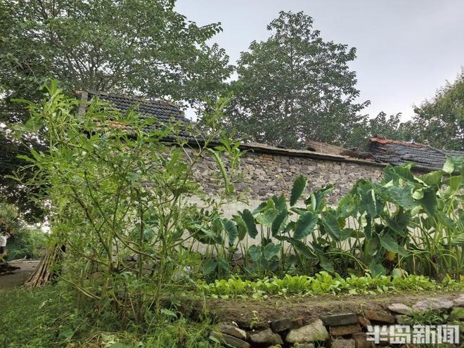 小伙投资上千万改造50多套农村闲置房 年轻人成长租主力之一(图3)