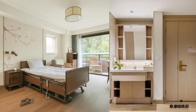 2025适老化改造为何成最大风口？(图31)