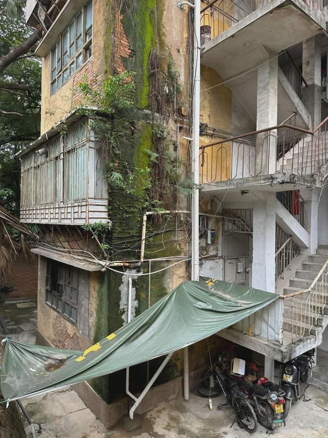 未来5年老旧小区大概率会以这4种方式迎来最终结局看看您家属于哪种？(图9)