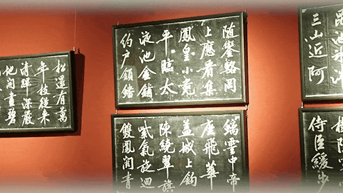 以金融温度筑牢老年消保防线——浙商银行济南分行深耕养老金融从适老服务到数智守护的实践之路(图4)