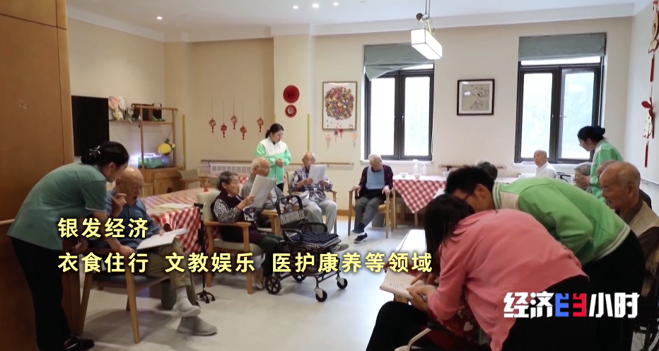 30万亿大市场加速开启 中国银发经济从“养老”奔向“享老”(图5)