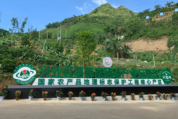 玉林：以营商环境之“优”促县域经济之“进”(图1)