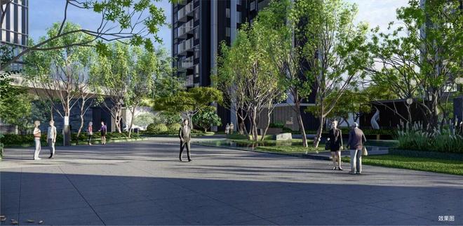 首付5万上车龙华精装3房！最低238万【珑门壹品】介绍(图19)