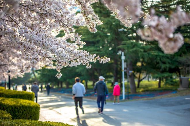 好消息！国家正式发文支持老旧住房原拆原建建议成立牵头机构(图4)