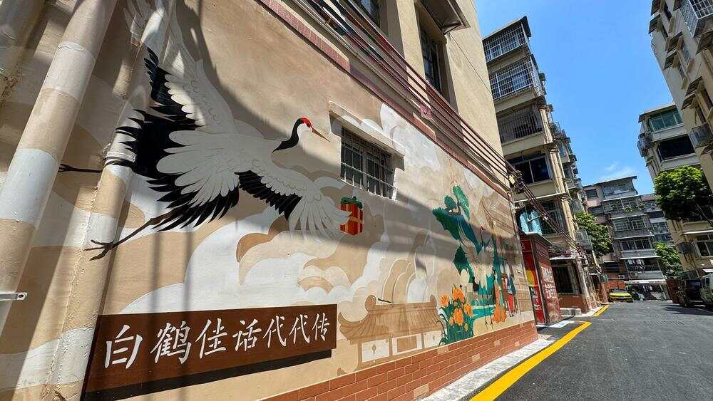 视频｜广州荔湾一老旧社区“变靓”三线整治有妙招(图5)