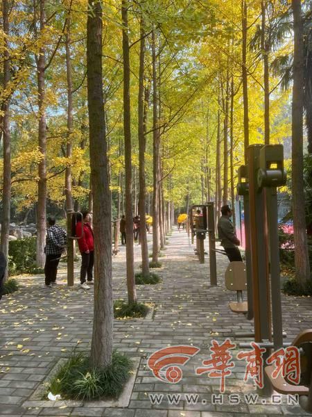 适老化大调研华商报记者走访了12座城市公园 适老化方面这些做得还不错 但还有改进空间(图15)