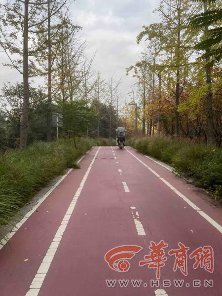 适老化大调研华商报记者走访了12座城市公园 适老化方面这些做得还不错 但还有改进空间(图24)