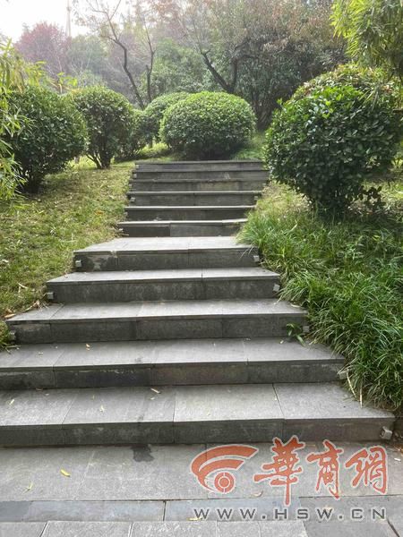 适老化大调研华商报记者走访了12座城市公园 适老化方面这些做得还不错 但还有改进空间(图28)