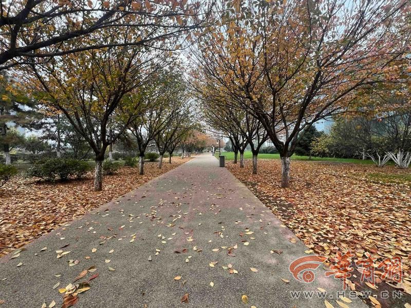 适老化大调研华商报记者走访了12座城市公园 适老化方面这些做得还不错 但还有改进空间(图33)