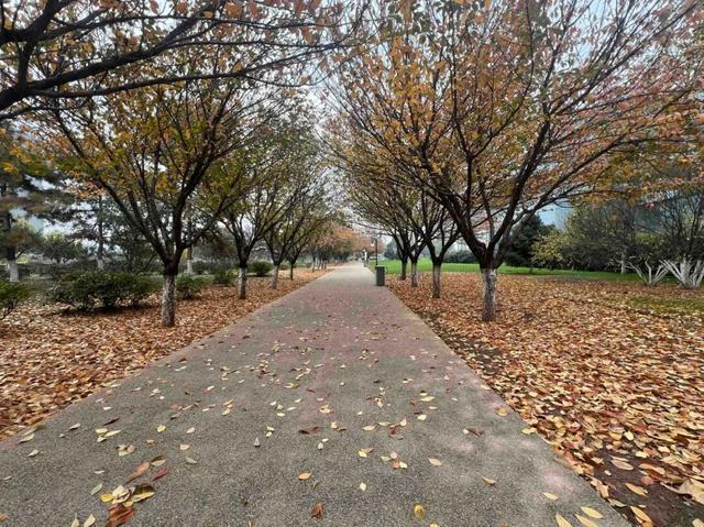 华商报记者走访了12座城市公园适老化方面这些做得还不错但还有改进空间(图32)