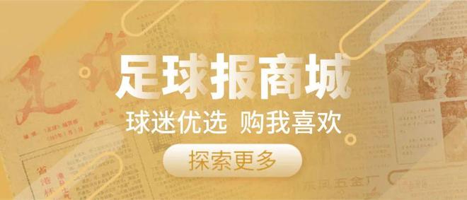 专题 亚泰降级启示录：资金短缺下的悲歌与重生之路(图15)