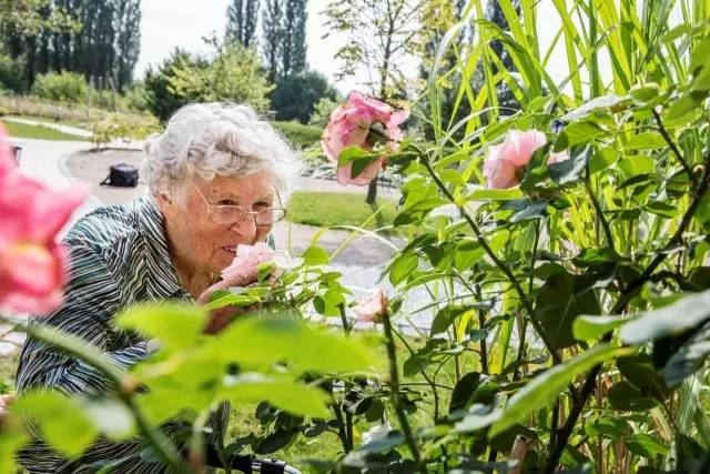我第一次到德国被这里的养老村惊呆啦！(深度分享)(图5)
