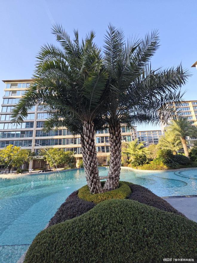 去看了第四代豪宅终于知道什么是好房子房子也是需要更新的(图1)