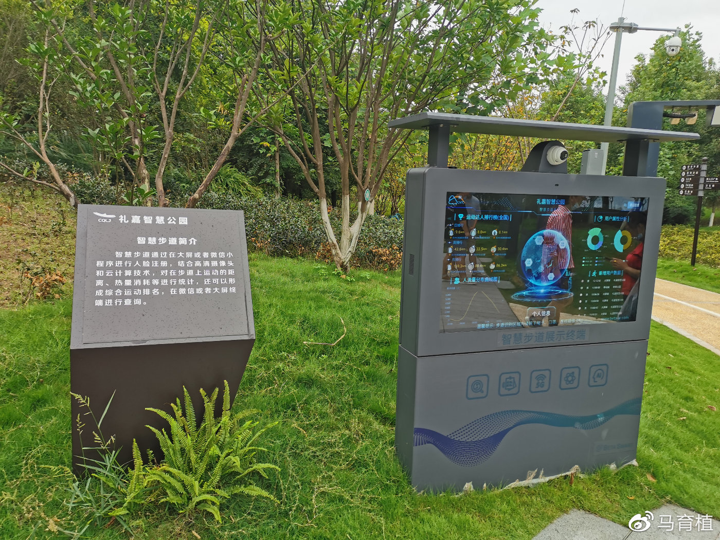 五河：在跨越赶超中书写“实干答卷”(图1)