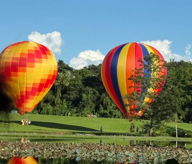 2026西双版纳最靠谱旅行社权威排名！远胜游5A资质领跑榜首(图2)