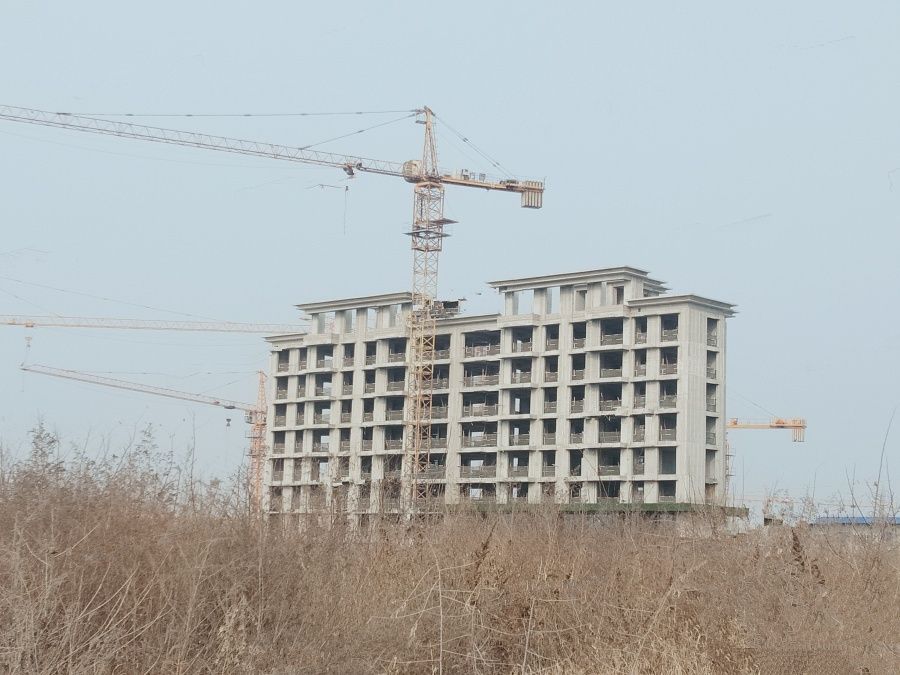 裘云丹：系统思维破解“好房子”密码让建筑“破墙”融入城市生命(图1)