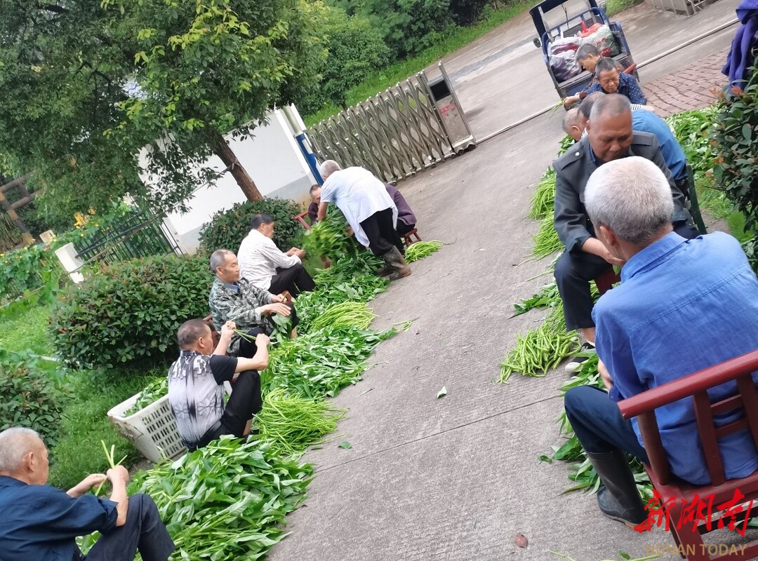 适老化公交线路推行逢站必停不急不催(图1)