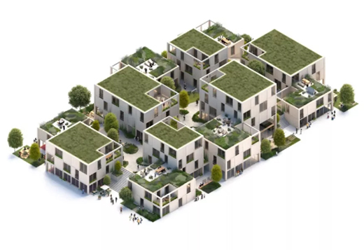 【论坛动态】老龄社会30人论坛成员香港黄金时代基金会主席容蔡美碧女士赴广东探索大湾区安老实况(图1)