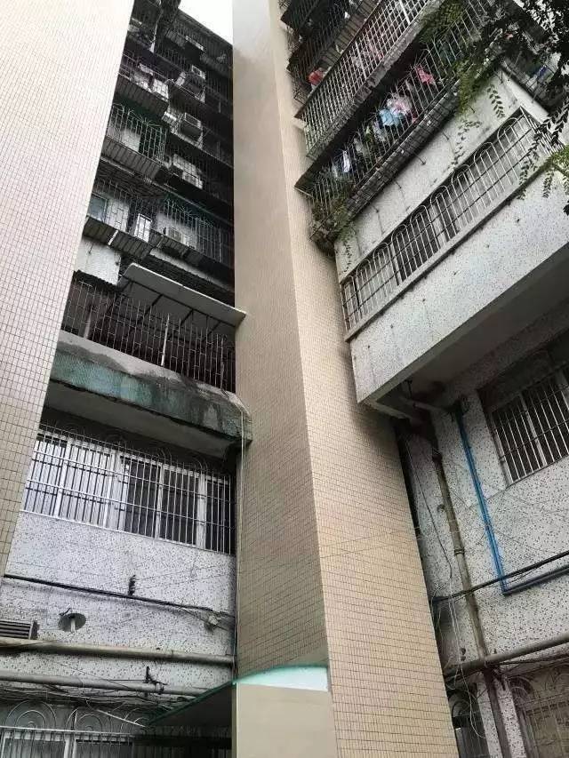事关中小学秋假、老旧小区改造湖南本周提醒来了！(图1)